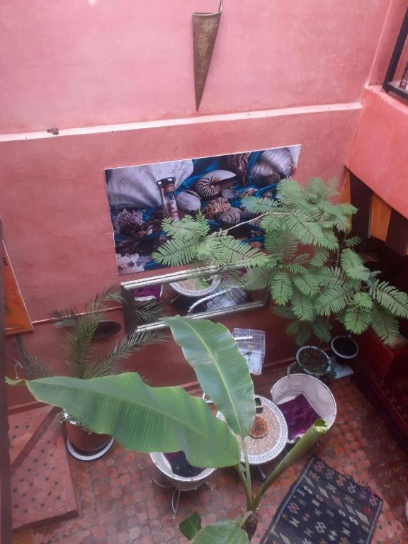 Riad Hanafi Marrakesh Esterno foto