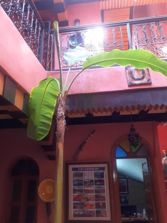 Riad Hanafi Marrakesh Esterno foto